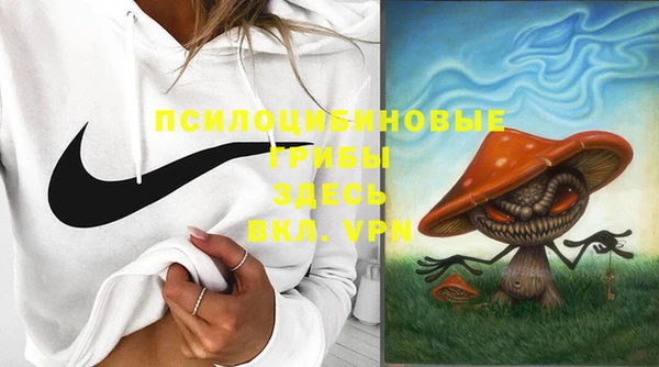спайс Аркадак